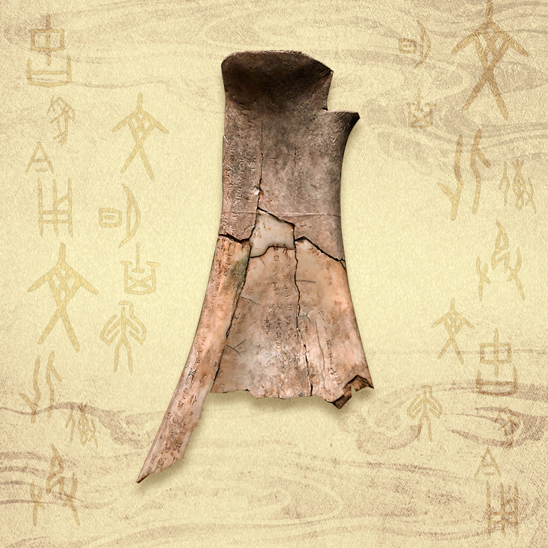 學習新語·中華文明｜字里行間的中華基因